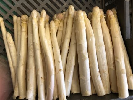 Asperges blanches  (kg)