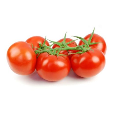 Tomates en grappe de Sicile Bio  (kg)