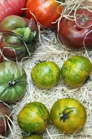 Tomates spéciales  (kg)